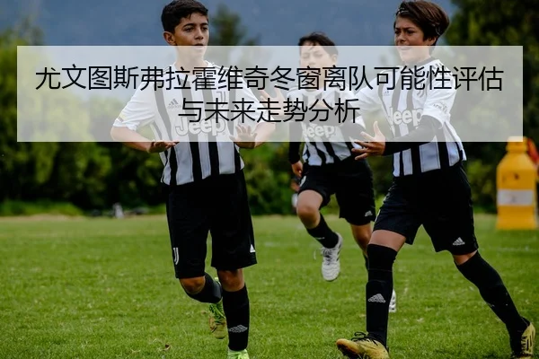 尤文图斯弗拉霍维奇冬窗离队可能性评估与未来走势分析