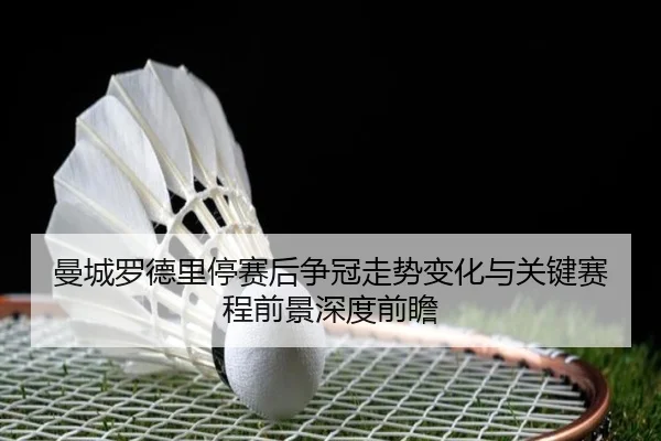 曼城罗德里停赛后争冠走势变化与关键赛程前景深度前瞻